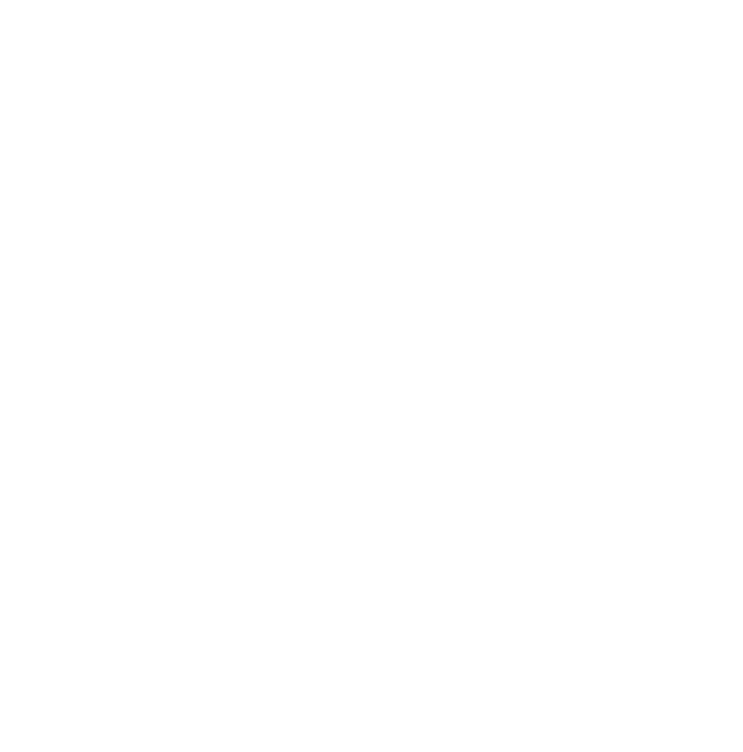demo-attachment-90-Path-6